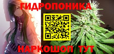 прущие грибы Можайск