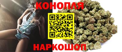 прущие грибы Можайск