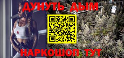прущие грибы Можайск