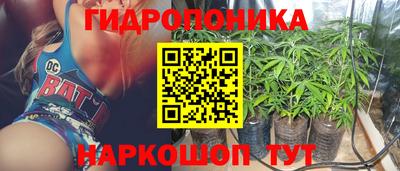 прущие грибы Можайск